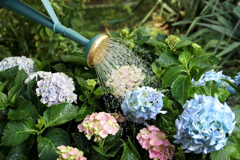 Adjust the Routine for New Plantings