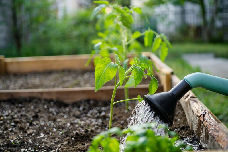 After a storm, check the soil before adding more water