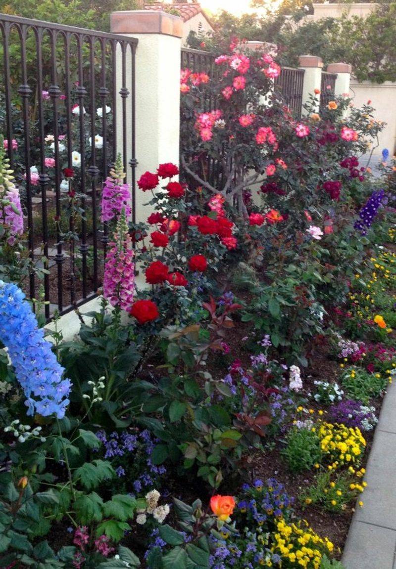Aim for a resilient rose garden, not a permanent beetle workforce