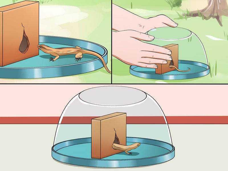 An indoor visitor can leave without a struggle
