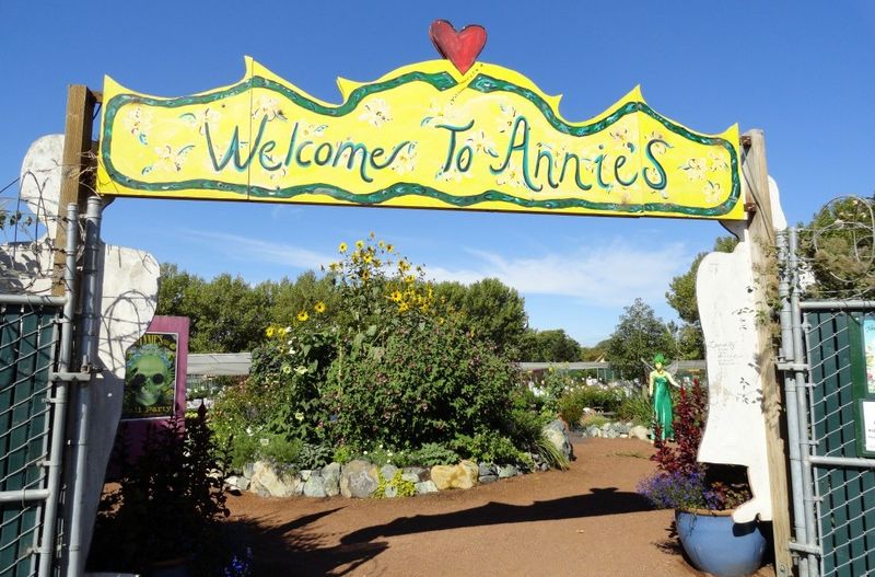 Annie's Annuals & Perennials (Richmond) Annie's Annuals & Perennials (Richmond)