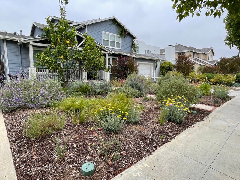 Approval must come before the lawn makeover