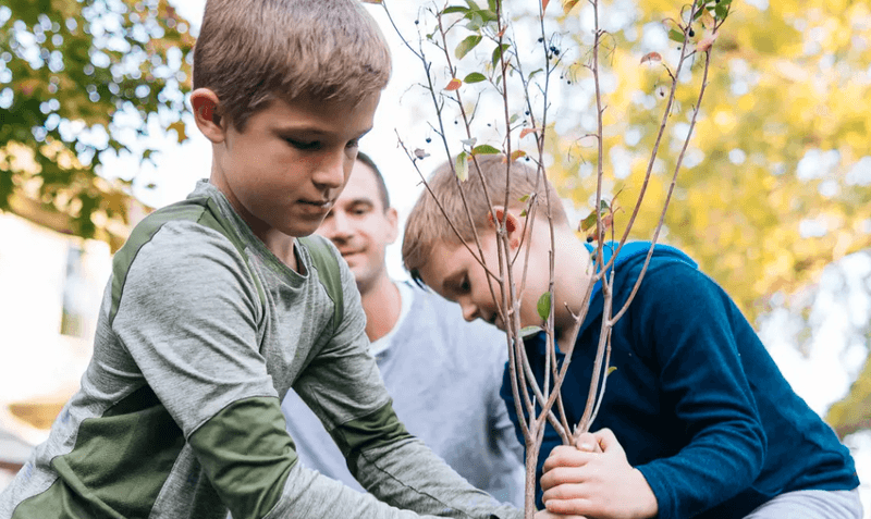 Arbor Day Foundation and Energy-Saving Trees Tool