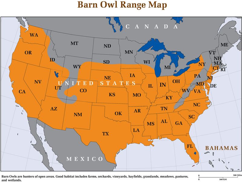 Assess whether your property connects to owl habitat Assess whether your property connects to owl habitat