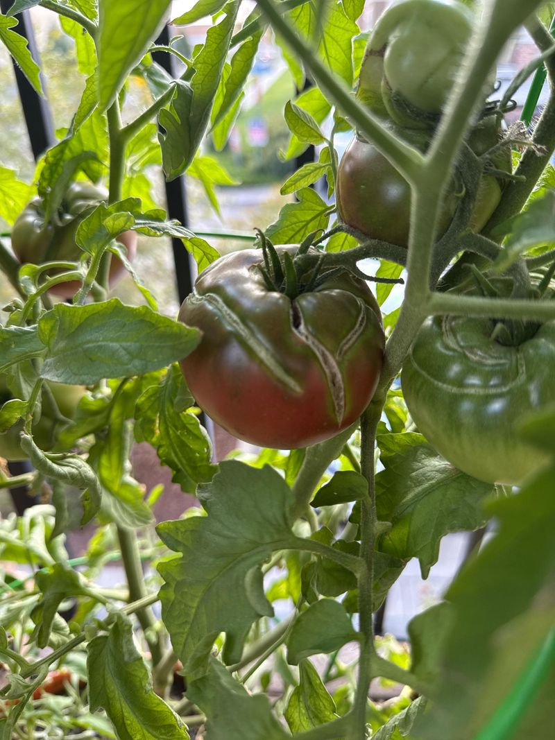 August heat raises the risk without telling the whole story