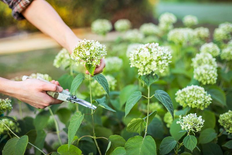 Avoid late-summer fixes that create new damage Avoid late-summer fixes that create new damage