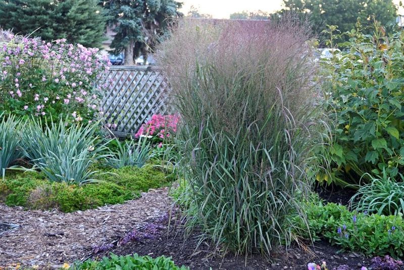 Avoid pond fixes that create ecological or safety problems