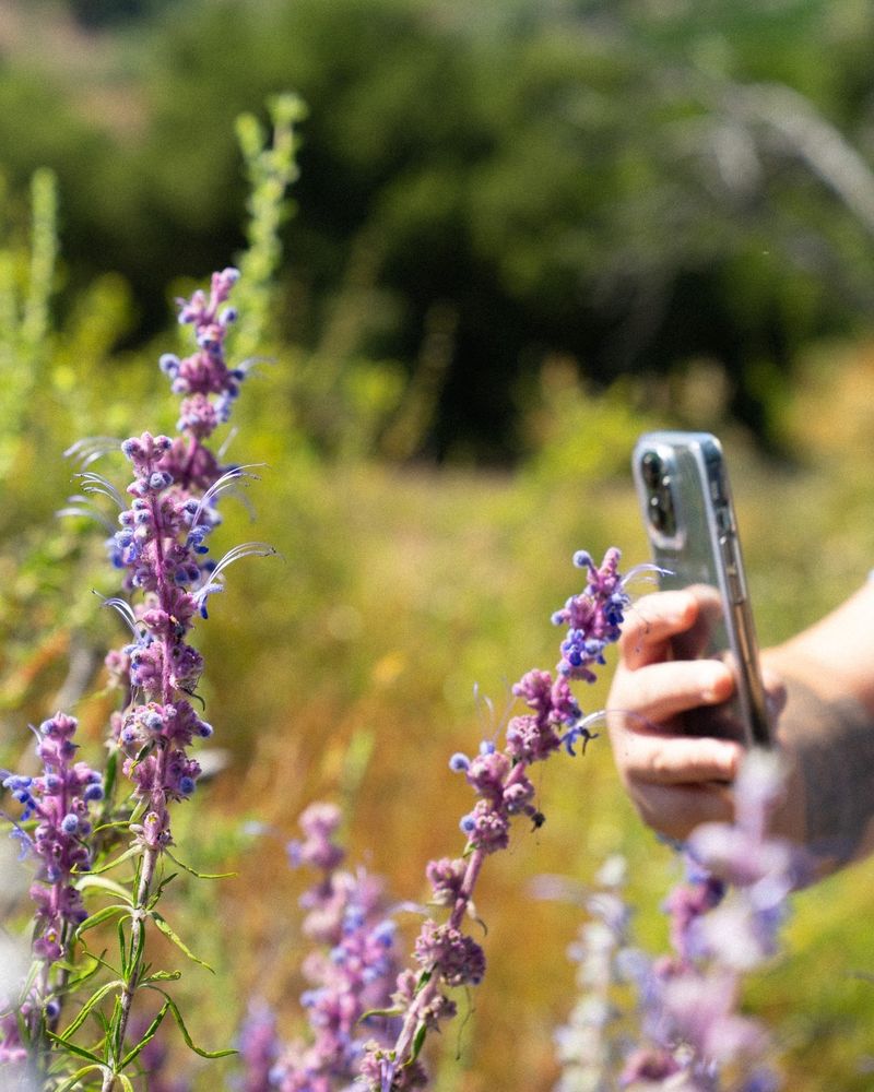 Avoid wet soil, routine pesticides, and careless fire-safety claims