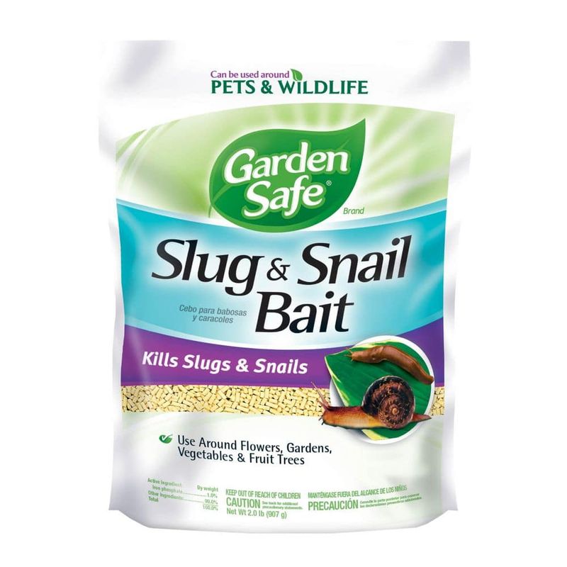 Bait risk depends on the predator and the formulation