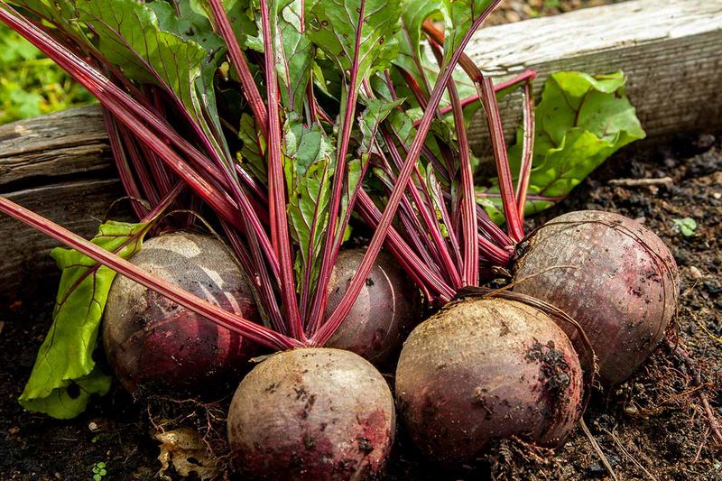 Beets