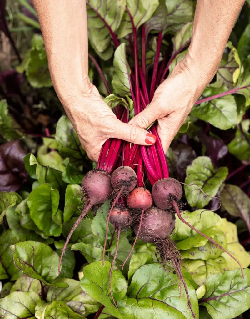 Beets