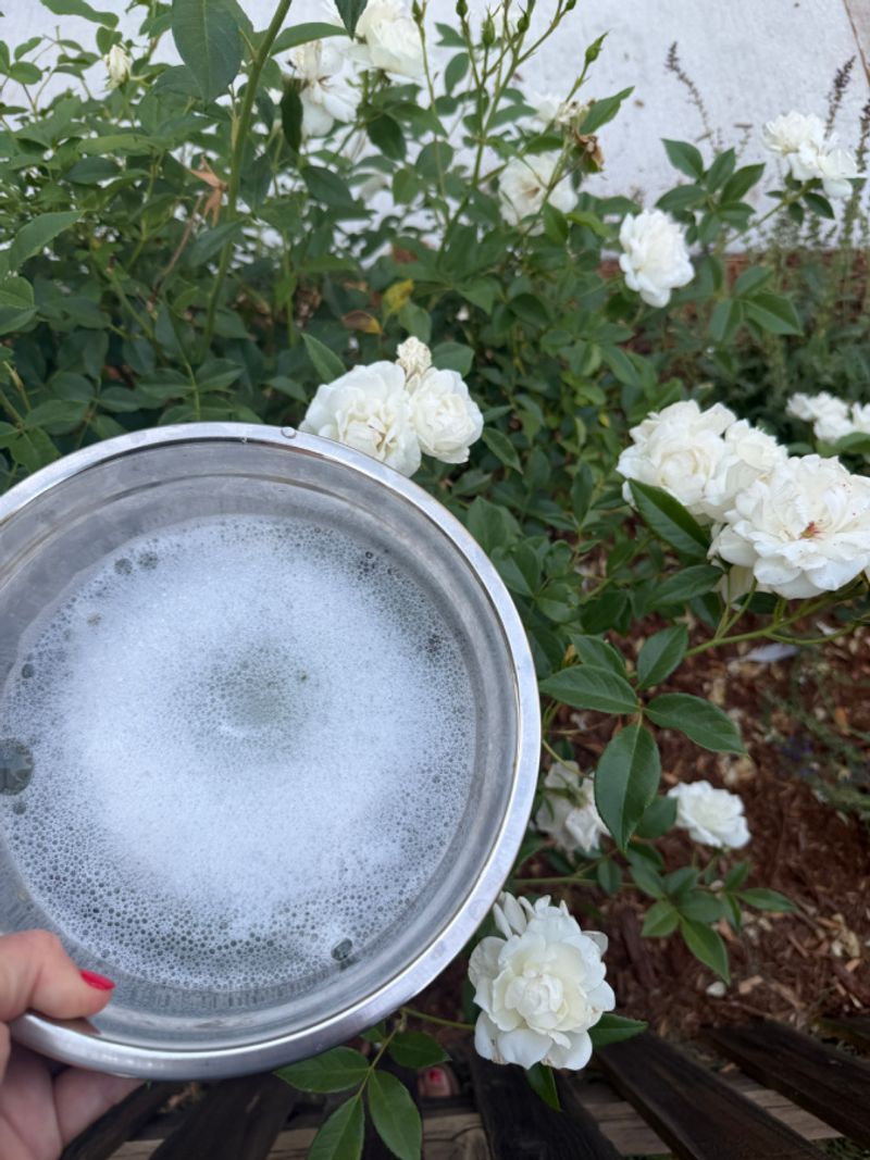 Begin with the jar and let the evidence guide the lawn decision