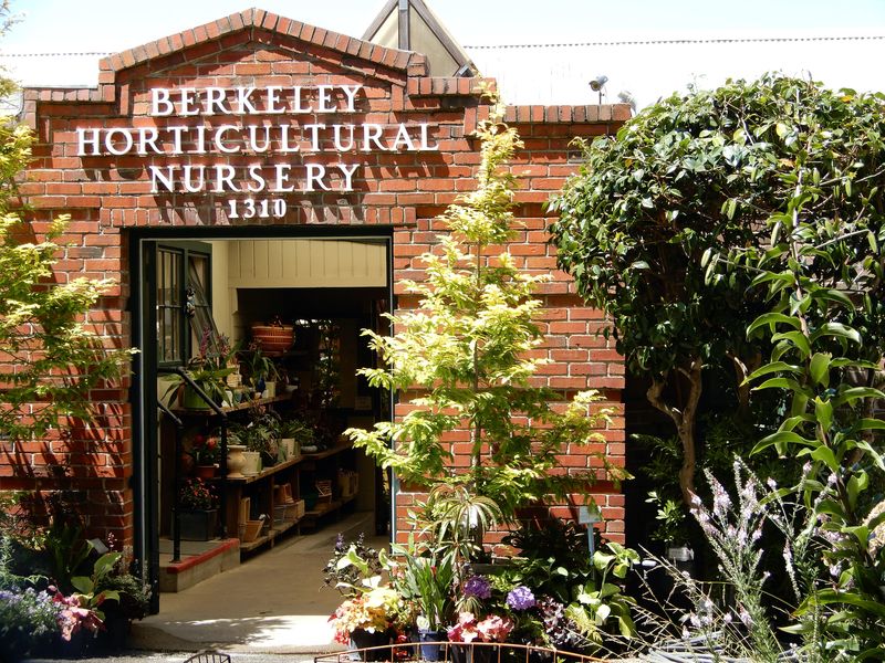 Berkeley Horticultural Nursery (Berkeley)