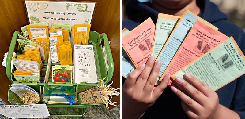 Berkeley Public Library Tool and Seed Lending Library