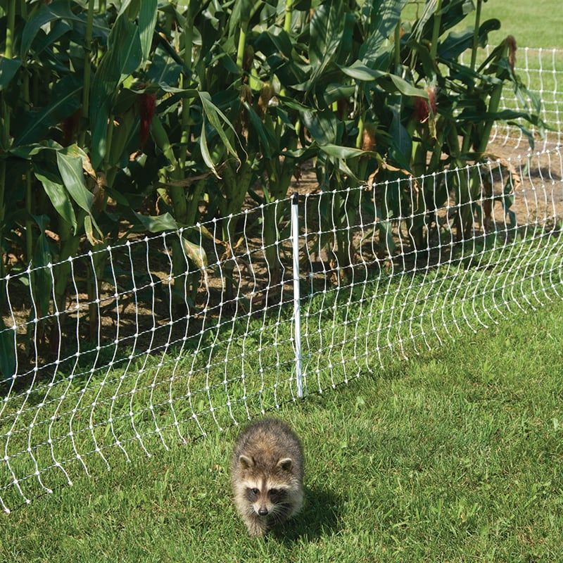 Block the route with fencing, mesh, and other physical exclusion