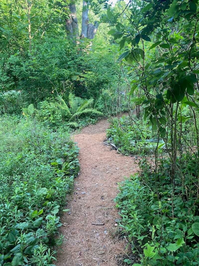 Build Dense, Low Cover Beside Open Feeding Space Build Dense, Low Cover Beside Open Feeding Space