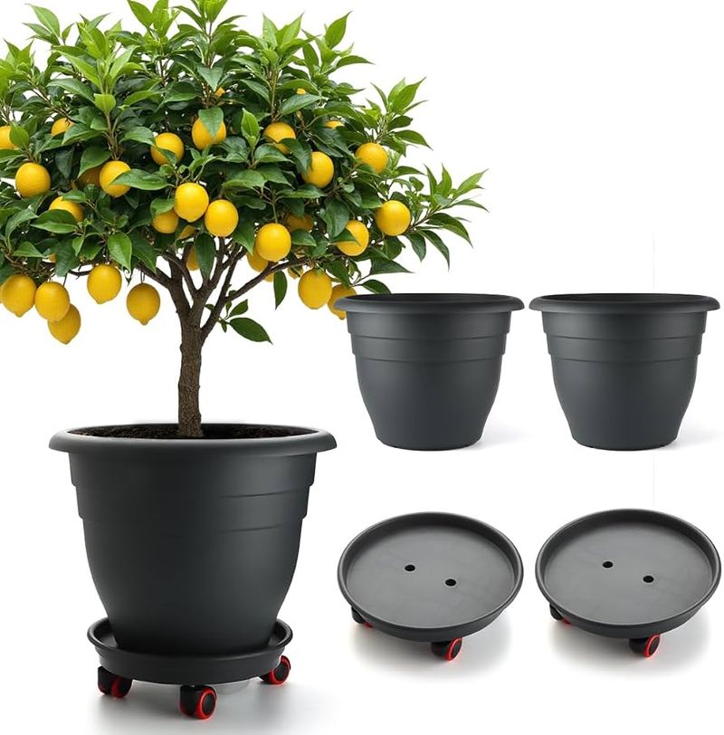 Build a Pot That Protects the Roots