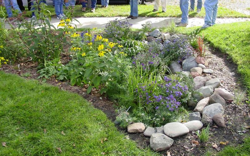 Build a Rain Garden for Stormwater and Hunting Space