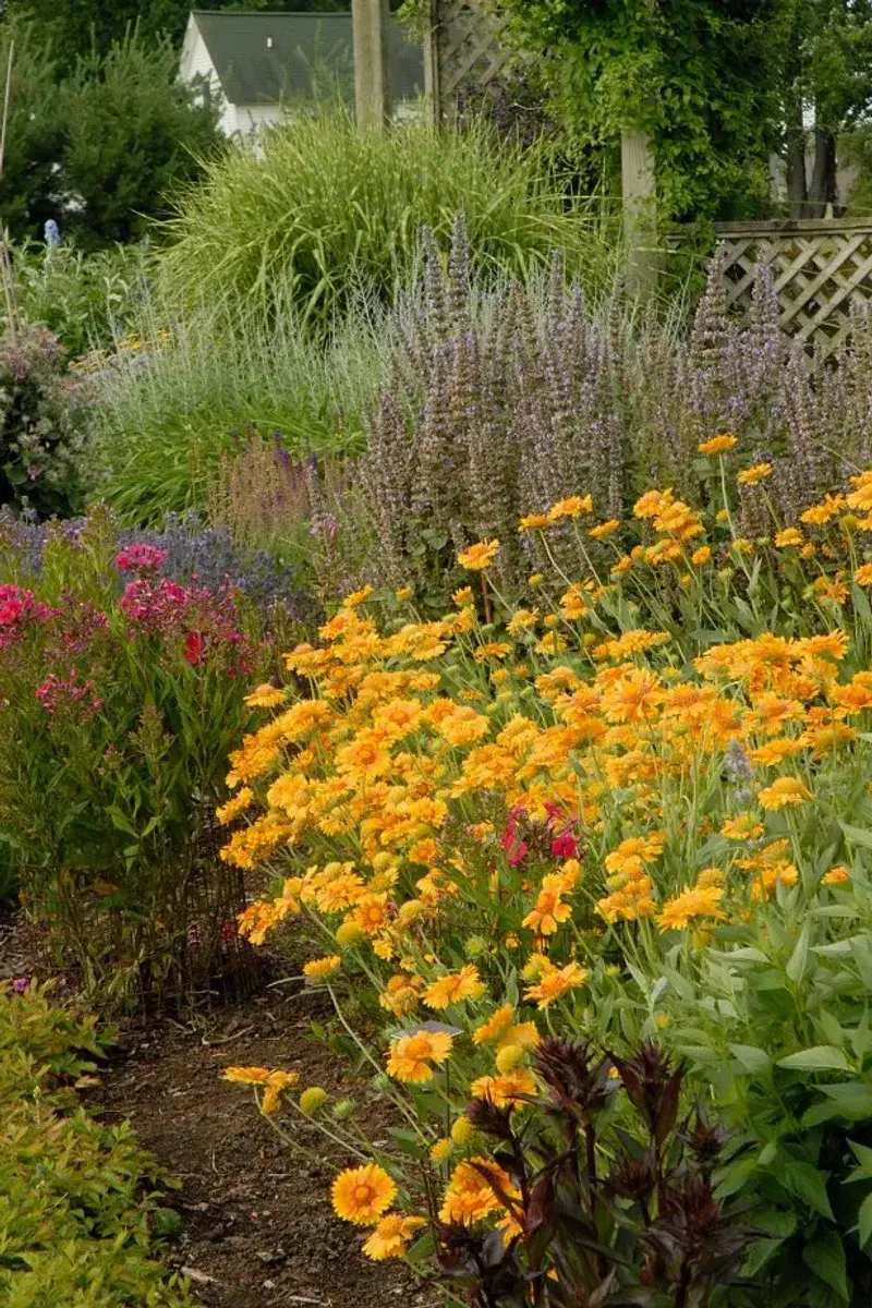 Build a Rat-Resistant Texas Yard Without Abandoning Native Plants
