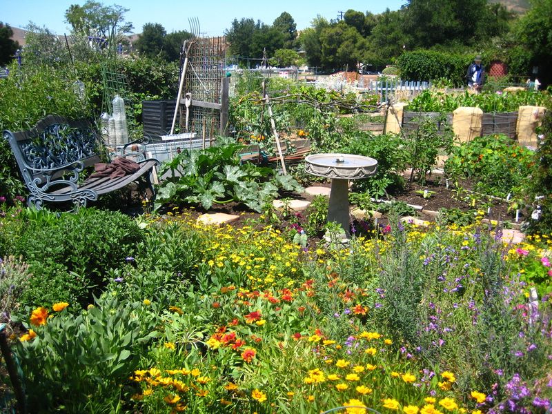 Build a garden that supports many natural enemies Build a garden that supports many natural enemies