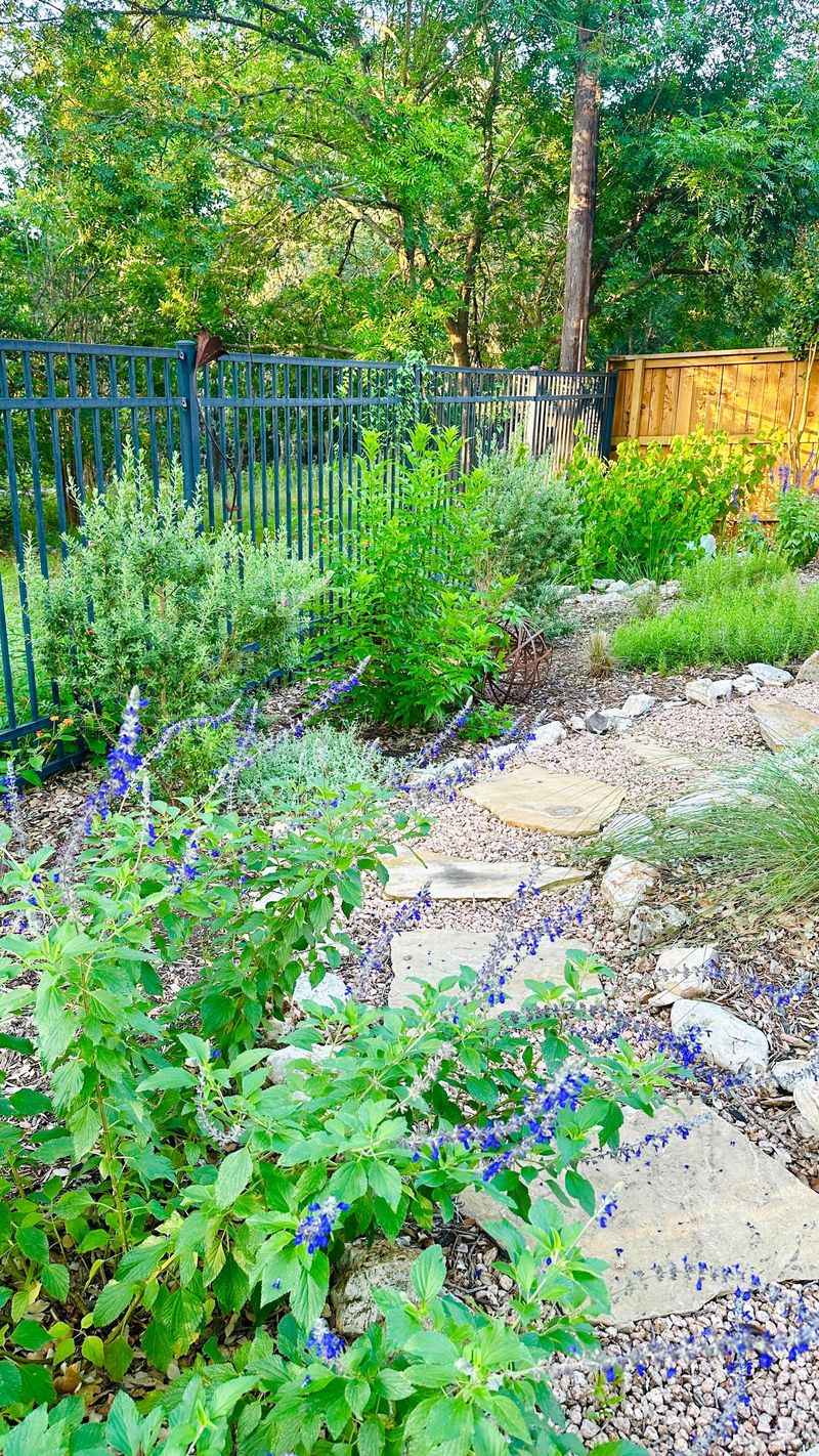 Build a layered fence-side habitat Build a layered fence-side habitat