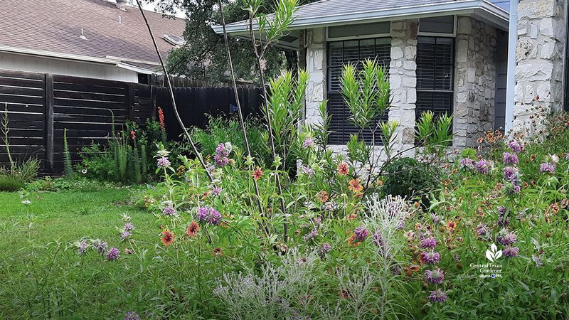Build a managed patch instead of planting a lone accent