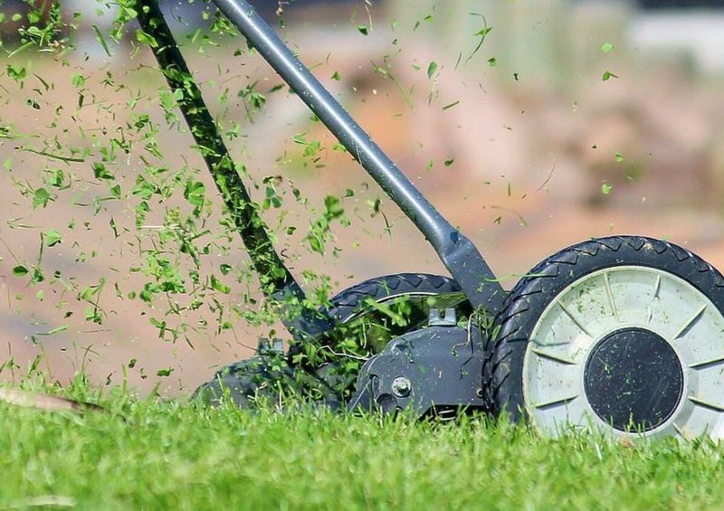 Build a routine around growth and turf condition