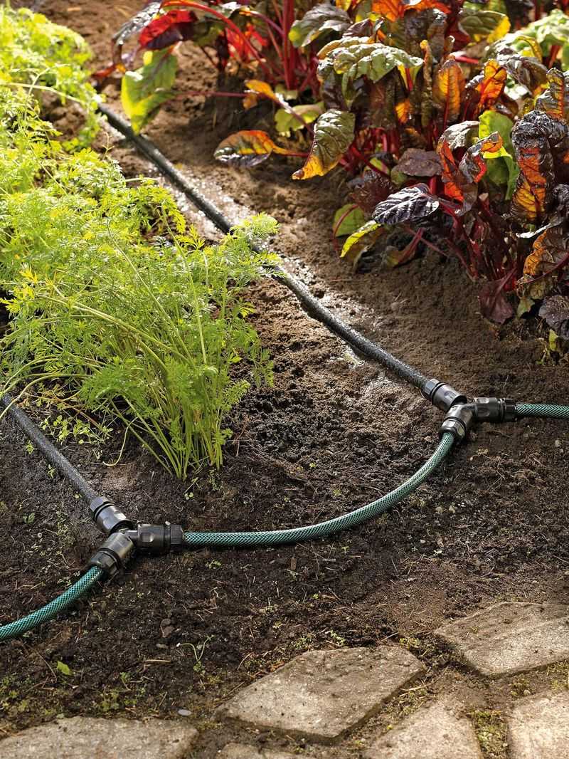 Build a steadier irrigation routine