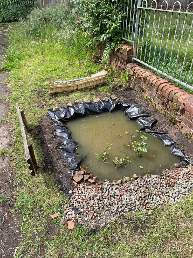 Build a yard that supports bat foraging without promising mosquito control Build a yard that supports bat foraging without promising mosquito control