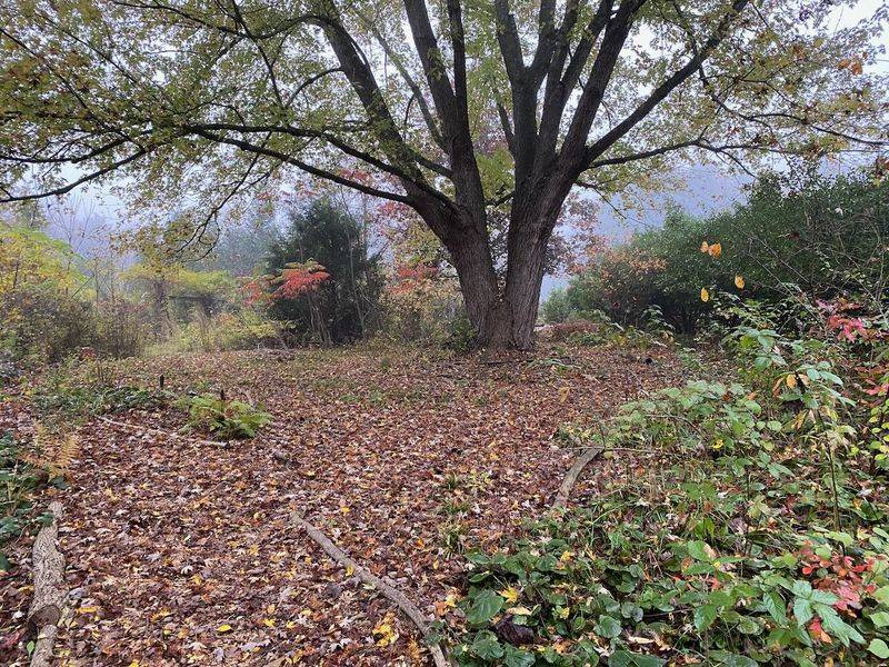 Build cover with damp soil, leaves, and low vegetation