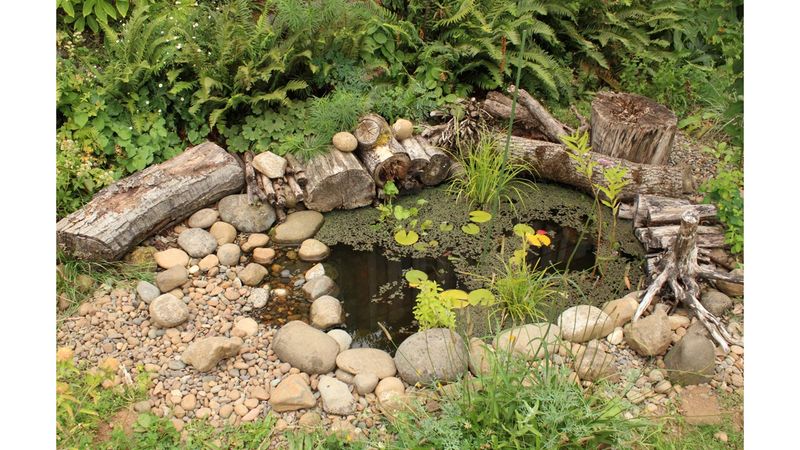 Build shallow edges, varied habitat, and safe exits