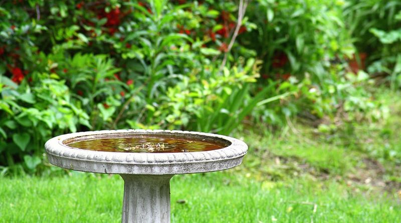 Build the habitat around the planting