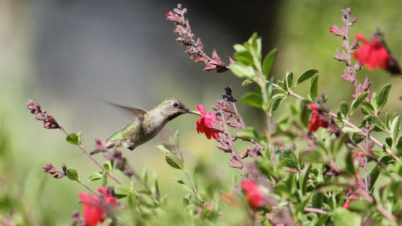 Build the habitat package and give it time