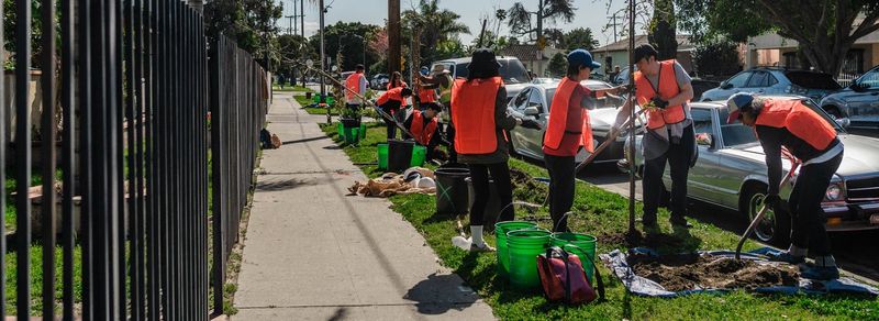 CAL FIRE Urban and Community Forestry Grants