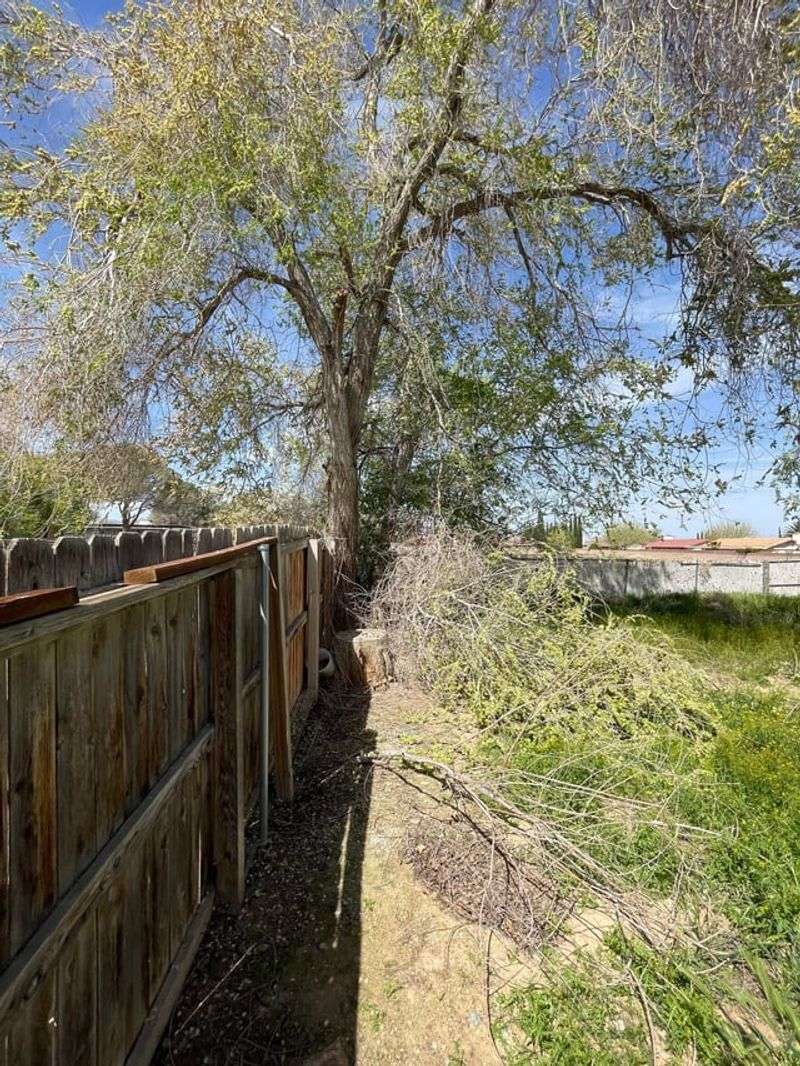 California allows limited trimming from your side