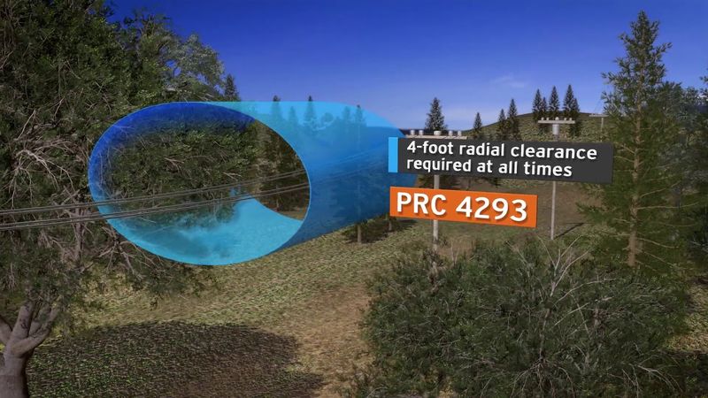 California does not use one universal tree-to-wire distance