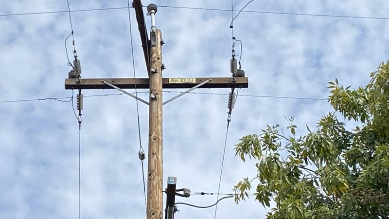 Call the utility before you call a tree trimmer