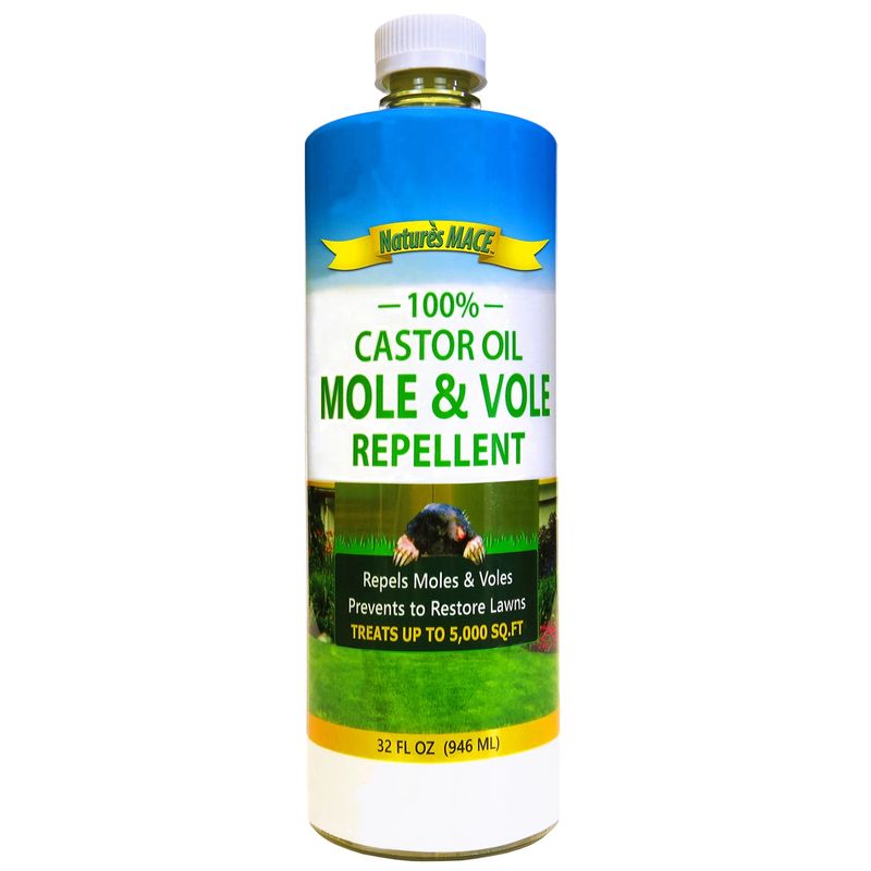 Castor Oil Castor Oil