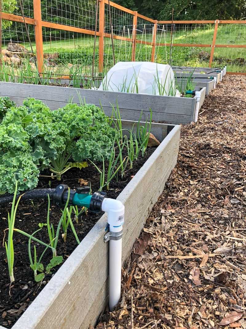 Change how you water, not whether you water