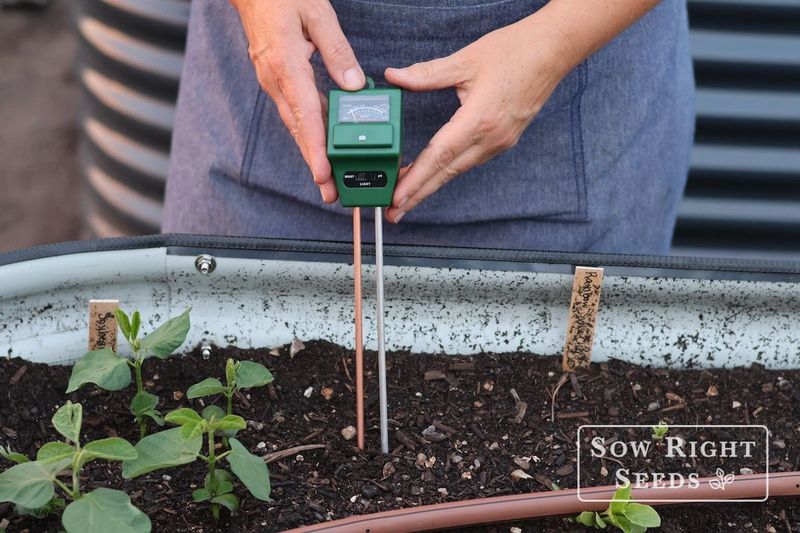 Check the Root Zone Before You Add Water Check the Root Zone Before You Add Water