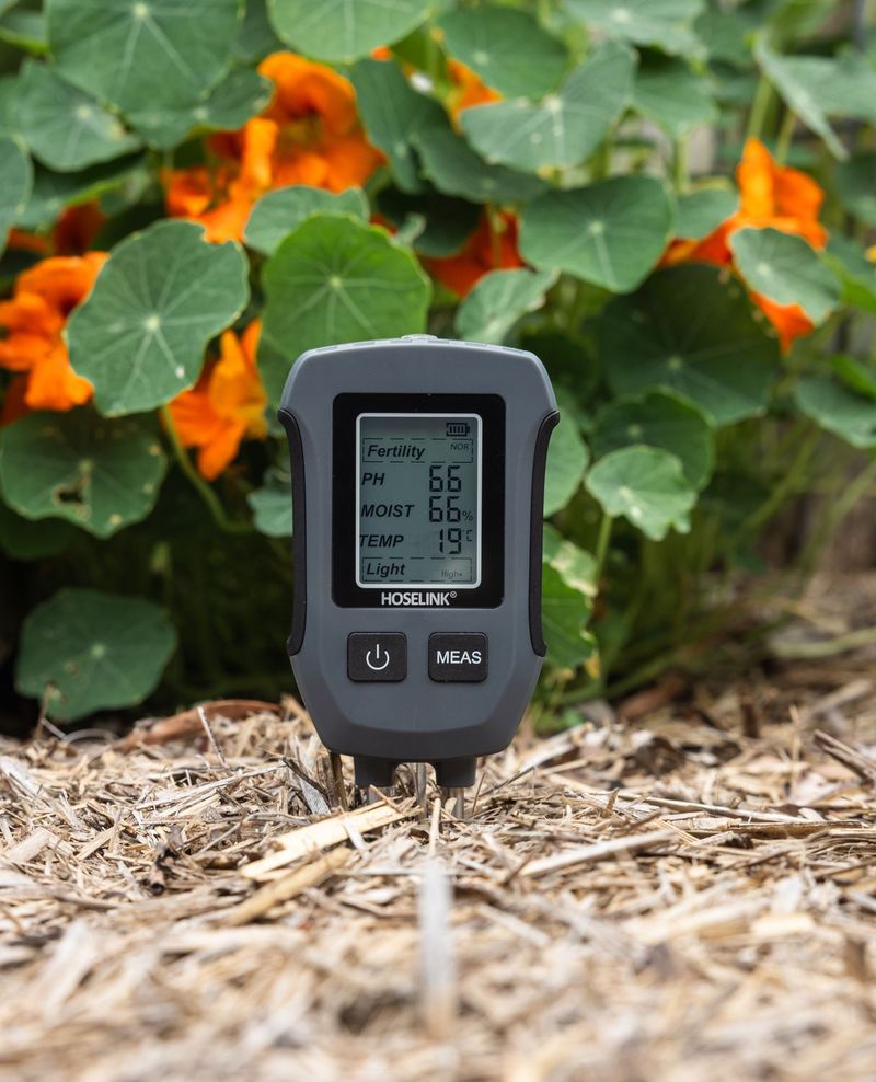 Check the night low, the daytime high, and the soil before choosing a fix