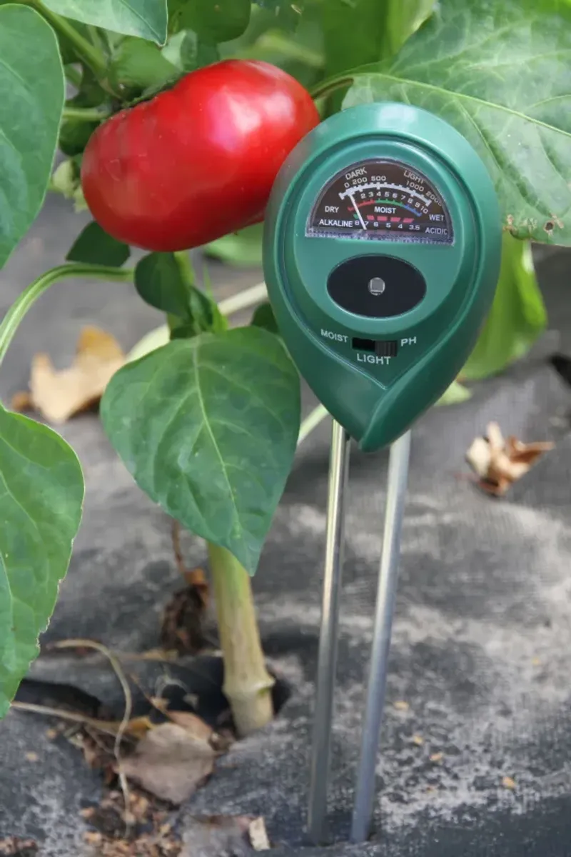 Check the root zone before adding water Check the root zone before adding water