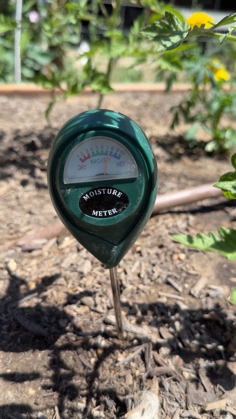 Check the root zone before deciding whether to water