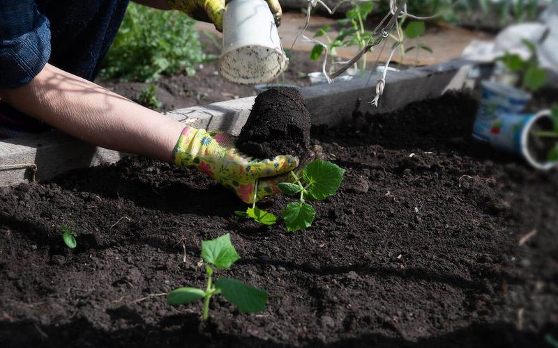 Check the soil before you change the schedule