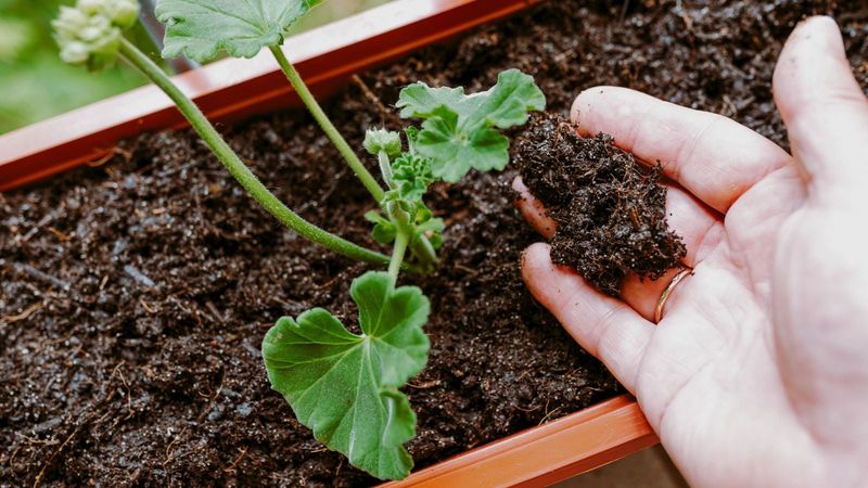 Check the soil before you water again