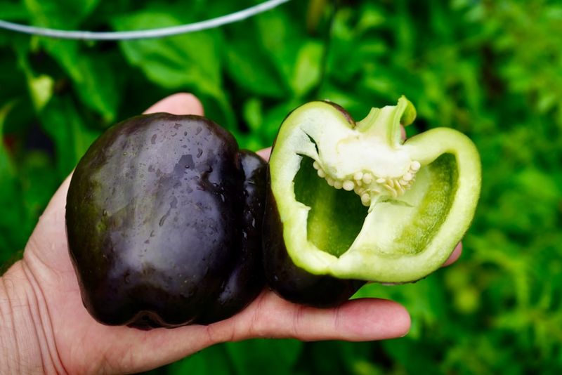 Check the variety before trying to feed thicker walls Check the variety before trying to feed thicker walls