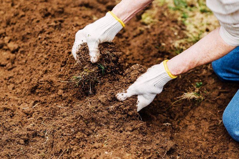 Check what the soil does after rain