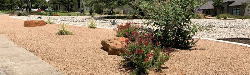 Check whether your site suits evergreen sumac