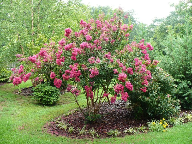 Check whether your tree still has time to respond
