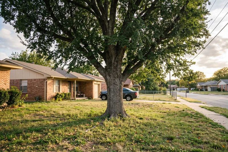 Check whether your yard has room for a full-size tree